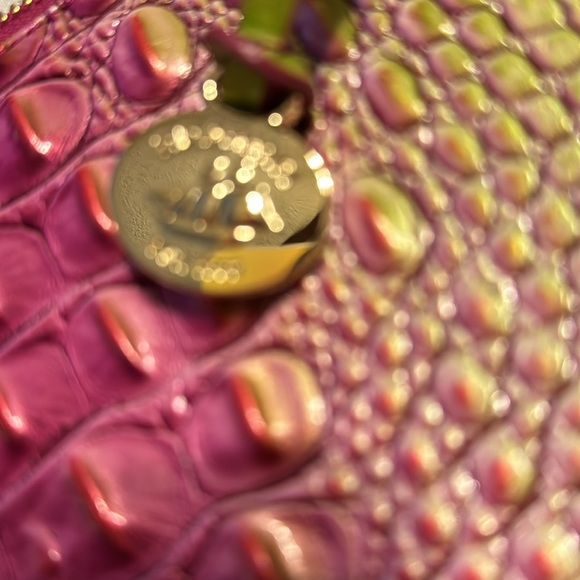 Brahmin crossbody. New without tags - Picture 2 of 10